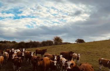 Stewards Cottage - Foto 53