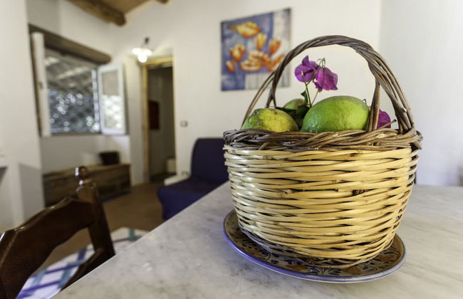 Agricontura - Foto 43