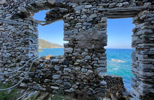 Traditional village house - Foto 34