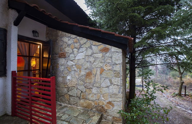 Dandy Villas Agoriani - Foto 60