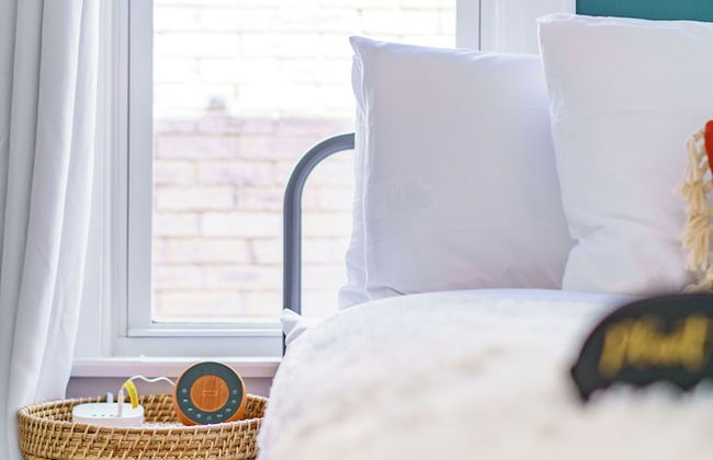 Jungle Casa Lundy - Foto 6