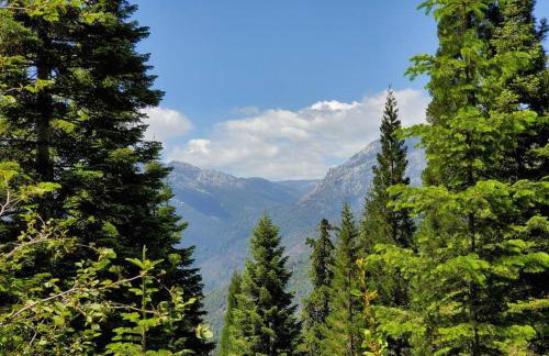 Redwood Retreat, Mountains, Adventure and Nature - Foto 34