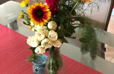 Apartmani BAU BAB - Foto 12