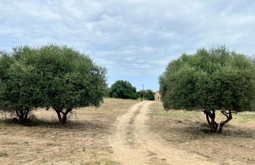 Casa Lamaghjone - Villa T4 avec piscine chauffée à 3,5km de la mer - Foto 41