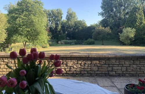 The Quackery - Foto 6