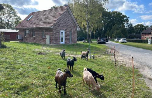 Ferienhaus im Rundling - Foto 9