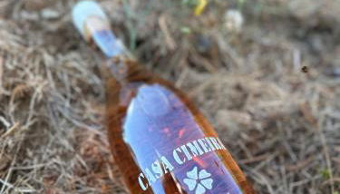 Quinta da Casa Cimeira, Guest House, Wines & Food - Foto 4