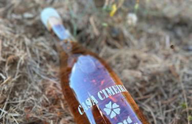 Quinta da Casa Cimeira, Guest House, Wines & Food - Foto 4