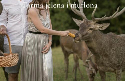 Holiday Home Lu - Foto 25