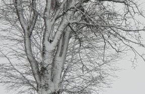 Allgäu Bergluft - Photo 57