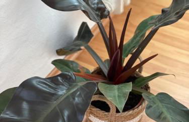 Sam & Karo Boutique Apartment - Foto 16