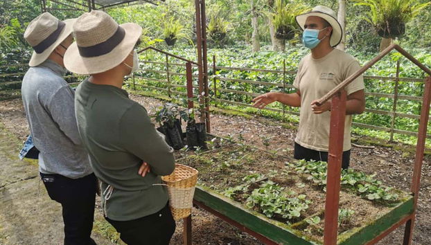 Alla scoperta dei segreti del caffè colombiano