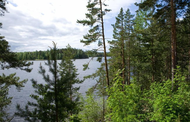 Salkolahti Tivoli - Foto 5