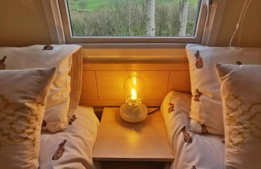 FAB Caravan Holiday Home - Foto 4