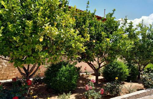 Villa Vena - Foto 47