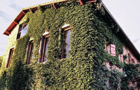 Lovely Home In Thizy-Les-Bourgs - Foto 12