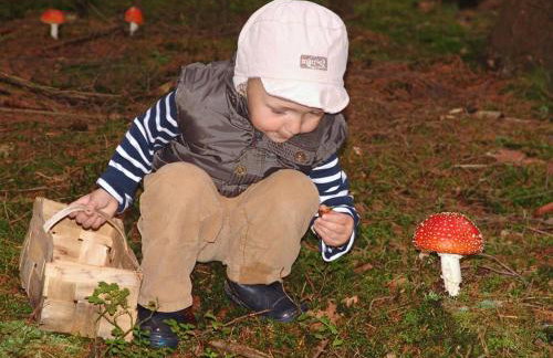 Ferienwohnung Waldstraße - Foto 49