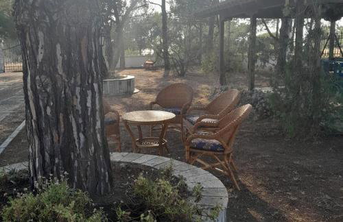 Costa Mama VIlla - Photo 56