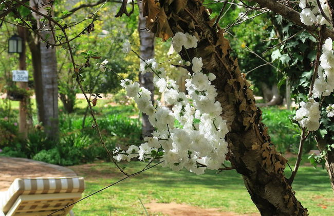 Berluda Farmhouse & Cottages - Photo 45