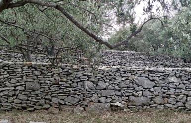 House on Punta - Photo 29