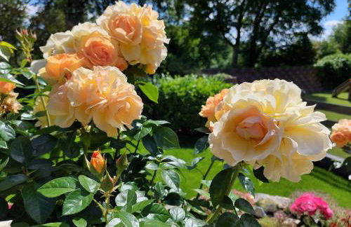 Ferienwohnung Pension Waldblick - Foto 37