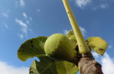 Agriturismo Cuca - Foto 40