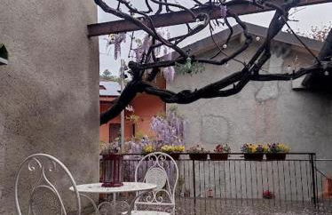 Antico Glicine - Foto 19