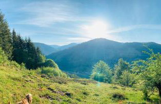 Heimatliebe neu - Foto 9