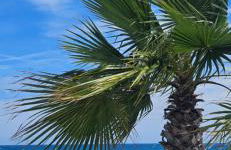 Studio Saint-Laurent-Du-Var bord de mer - Foto 13