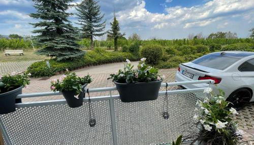 Ferienwohnung in Maikammer - Foto 2