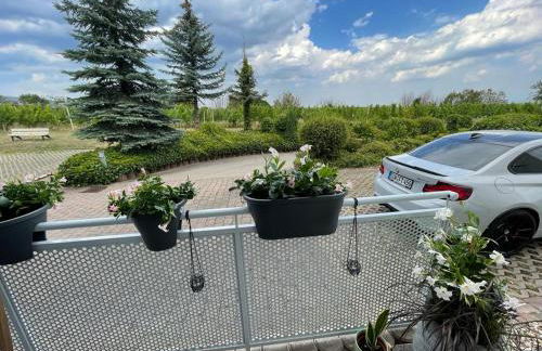 Ferienwohnung in Maikammer - Foto 2