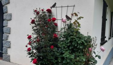 Chalet toutou 12/14 personnes - Foto 3