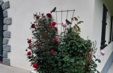 Chalet toutou 12/14 personnes - Foto 3