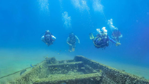 Las Caletas Scuba Diving Introduction - Foto 4
