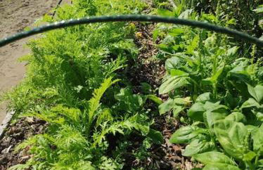 Komfortowy dom wakacyjny dla kilku rodzin - Foto 56