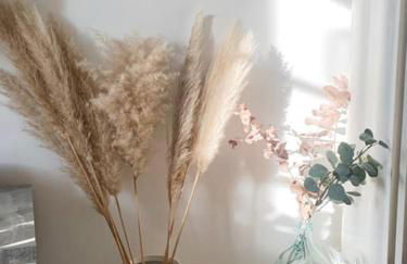 Lovely City Apartment with Balcony, central - Foto 17