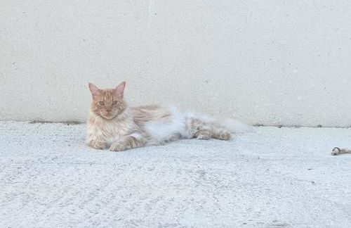 Maison 3 chambres, quartier calme, vue sur les salines ! - Foto 22