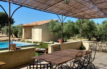 Le petit cabanon en Provence - Foto 10