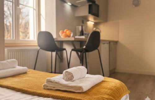 Appart Hôtel Entre les 2 Roches - Free Parking - BY PRIMO - Foto 62