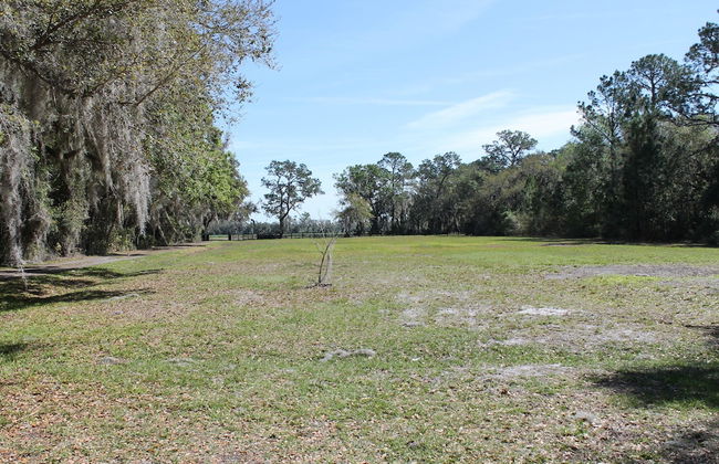 Secret Cove - Foto 40