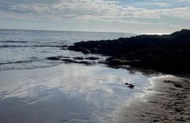 Bumble Bee Cottage - Photo 44