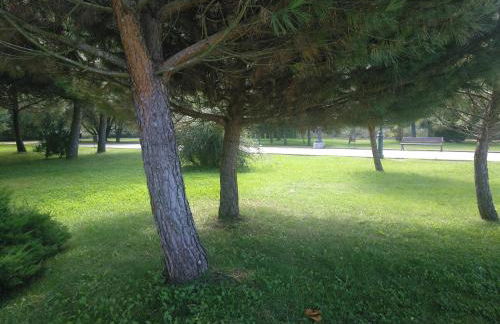 Imperial, 9 - Foto 46