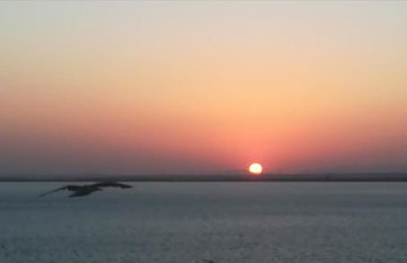 Apartamento Fenicia con aparcamiento incluido Vistas al mar - Foto 44