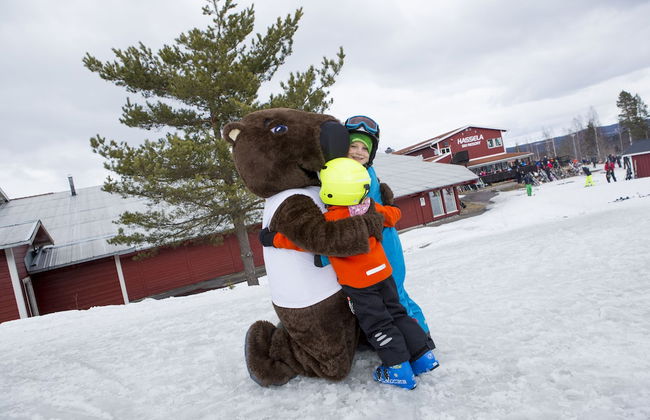 Hassela Ski Resort Cabins - Photo 37