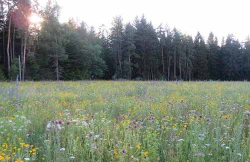 Ferienhaus Waldblick - Foto 42