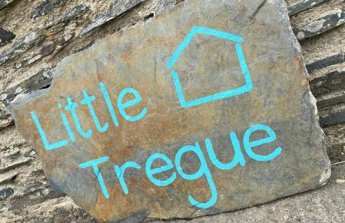 Little Tregue - Foto 17