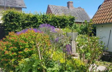 Fischerstern - Foto 20