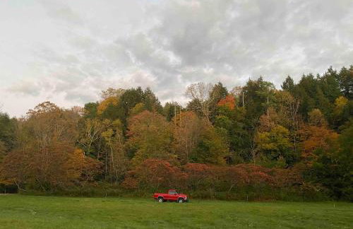 Red Barn Cabin Near Okemo - Foto 12