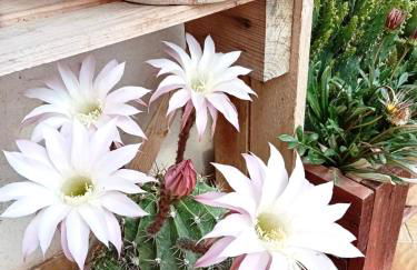 La mansarda dello scultore - Foto 21