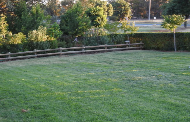 Barkly Suites Apartments - Foto 20